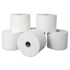 TISSUE TOILET ROLL100 GRM